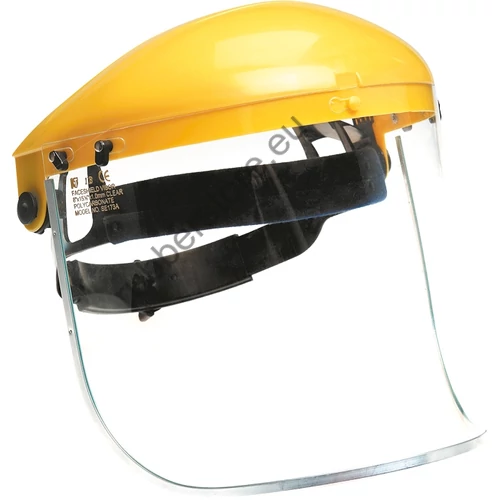 VISIGUARD full face shield