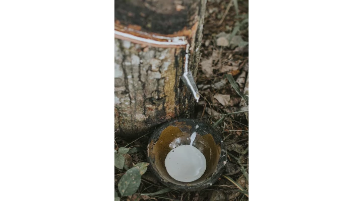 The History of Rubber Production